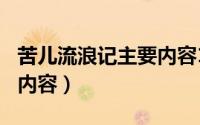 苦儿流浪记主要内容100字（苦儿流浪记主要内容）