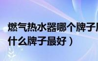 燃气热水器哪个牌子质量好排名（燃气热水器什么牌子最好）