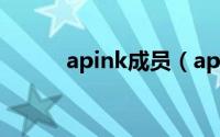 apink成员（apink到底有几人）