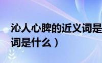 沁人心脾的近义词是什么?（沁人心脾的近义词是什么）