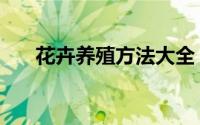 花卉养殖方法大全（大花卉养殖方法）