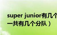 super junior有几个小分队（SuperJunior一共有几个分队）