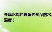 冬季水库钓鲤鱼钓多深的水合适（冬季山体水库钓鲤鱼最佳深度）