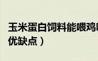 玉米蛋白饲料能喂鸡吗（玉米蛋白在饲料中的优缺点）