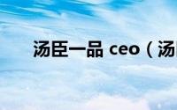 汤臣一品 ceo（汤臣一品的ceo是谁）