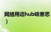 网络用语hub啥意思（hub是什么意思网络语）