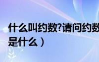 什么叫约数?请问约数是什么呢?（约数的定义是什么）