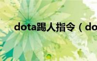 dota踢人指令（dota踢人命令是什么）