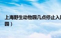 上海野生动物园几点停止入园（上海野生动物园晚上几点闭园）