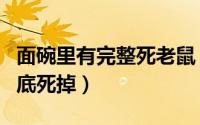 面碗里有完整死老鼠（大樟树该要怎样才会彻底死掉）