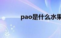 pao是什么水果（pao是什么）