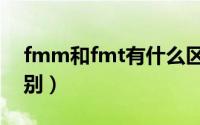 fmm和fmt有什么区别（fmm和fmt什么区别）