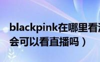 blackpink在哪里看演唱会（blackpink演唱会可以看直播吗）