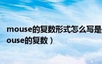 mouse的复数形式怎么写是什么意思（一个简单的英语：mouse的复数）