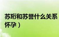 苏珩和苏誉什么关系（苏珩为什么只让慕容安怀孕）