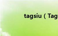 tagsiu（Tags是什么意思）