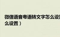 微信语音粤语转文字怎么设置出来（微信语音粤语转文字怎么设置）