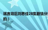 谎言背后刘思佳28集剧情分集介绍（谎言背后刘思佳是谁演的）