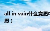 all in vain什么意思中文（allin中文是什么意思）