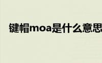 键帽moa是什么意思（MOA是什么意思）