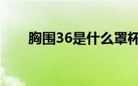 胸围36是什么罩杯（胸围36标准吗）