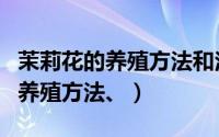 茉莉花的养殖方法和注意事项北方（茉莉花的养殖方法、）