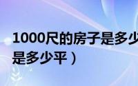 1000尺的房子是多少平米的（1000尺的房子是多少平）