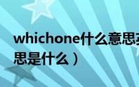 whichone什么意思英语（whichone中文意思是什么）