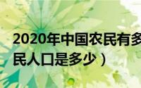 2020年中国农民有多少人口（2020年中国农民人口是多少）