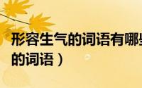 形容生气的词语有哪些二年级下册（形容生气的词语）