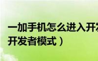 一加手机怎么进入开发者选项（一加如何进入开发者模式）