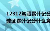 12312驾照累计记分什么意思（12123上驾驶证累计记分什么意思）