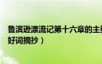 鲁滨逊漂流记第十六章的主要内容（鲁滨逊漂流记第十六章好词摘抄）