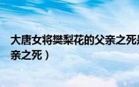 大唐女将樊梨花的父亲之死是哪一集（大唐女将樊梨花的父亲之死）