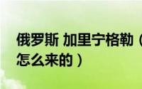 俄罗斯 加里宁格勒（俄罗斯的加里宁格勒是怎么来的）