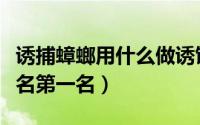 诱捕蟑螂用什么做诱饵最好（蟑螂诱捕神器排名第一名）