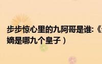 步步惊心里的九阿哥是谁:《步步惊心》里（步步惊心九子夺嫡是哪九个皇子）