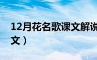 12月花名歌课文解说视频（12月的花名歌课文）