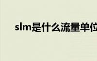 slm是什么流量单位（slm是什么单位）