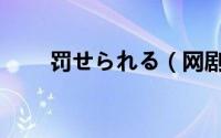 罚せられる（网剧罚罪一共多少集）