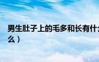 男生肚子上的毛多和长有什么寓意么（男人肚子上的毛叫什么）