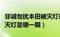 非诚勿扰本田被灭灯是哪一期（本田非诚勿扰灭灯是哪一期）