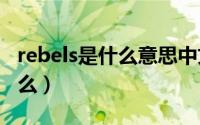 rebels是什么意思中文（Rebel中文意思是什么）