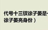 代号十三钗徐子晏是一号金钗吗（代号十三钗徐子晏亮身份）