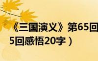 《三国演义》第65回主要内容（三国演义第65回感悟20字）