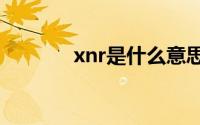 xnr是什么意思（xnl啥意思）