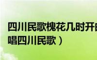 四川民歌槐花几时开曲式分析（槐花几时开原唱四川民歌）