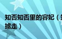 知否知否里的容妃（知否中容妃燕为什么会被掳走）