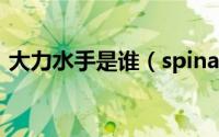 大力水手是谁（spinach为什么叫大力水手）