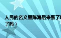 人民的名义里陈海后来醒了吗（人民的名义陈海最后醒过来了吗）